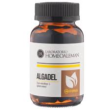 Algadel